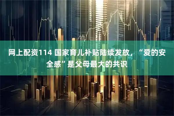 网上配资114 国家育儿补贴陆续发放，“爱的安全感”是父母最大的共识